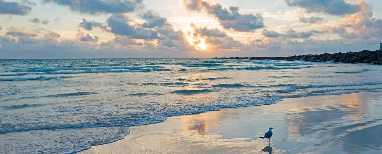 Image of the ocean