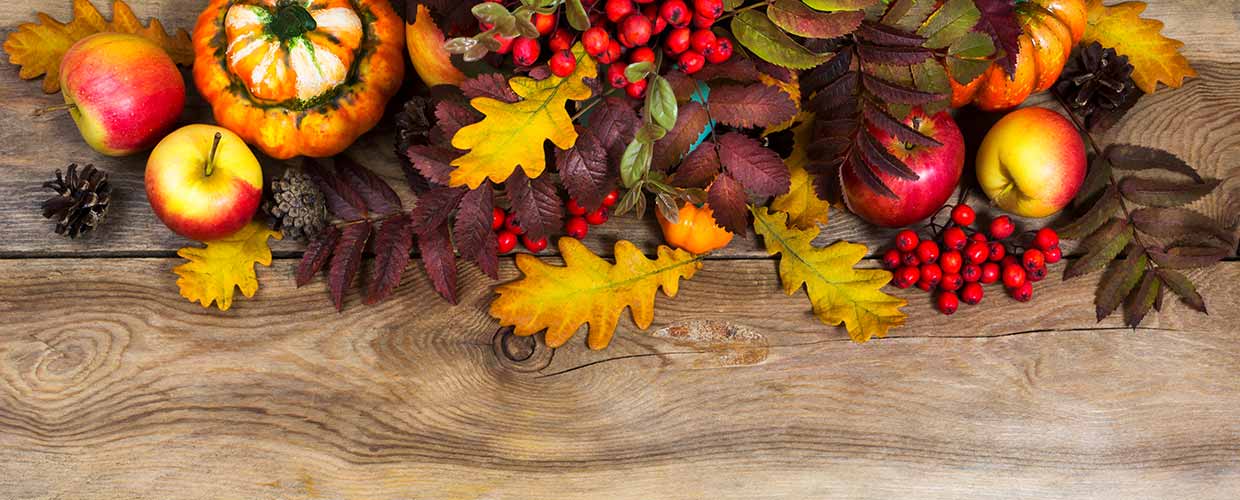Have a Happy Thanksgiving
